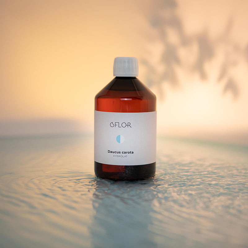 Hydrolat de Carotte sauvage