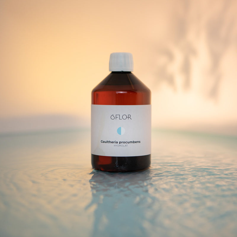 Hydrolat de Gaultherie couchée